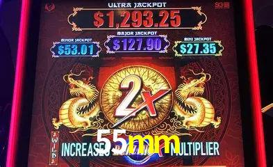 Descubra o Mundo do Cassino Online com 55mm