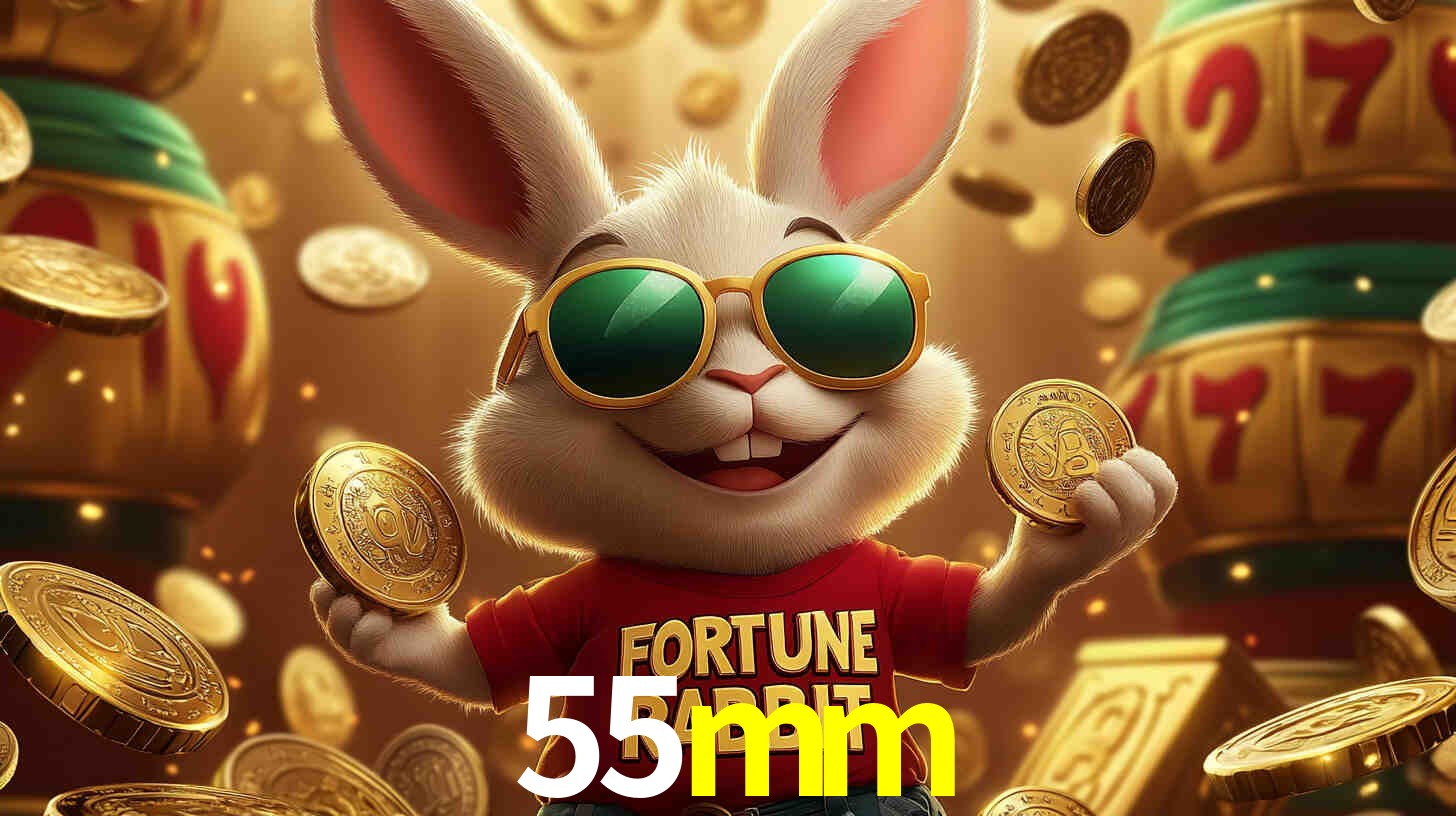 55mm.com